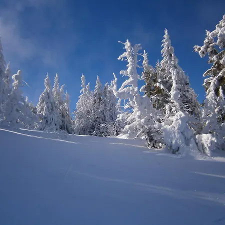 Morozko Славское