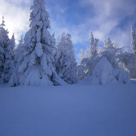 Morozko Отель *